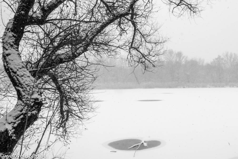 Tisza-tó fekete-fehér fotók