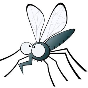 5 vicces (nem is vicces) dolog a szúnyogokról és 3 dolog, ami segít