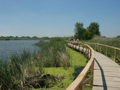 Tisza-tó kerülő e-bike túra – Tiszafüred