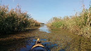 Tengeri kajakkal a Tisza-tó bűvöletében – Poroszló