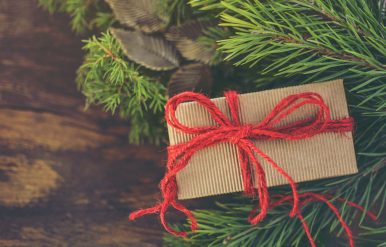 Karácsonyi ajándéktippek – élményajándékok a Tisza-tónál