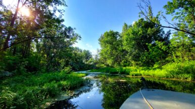 Irány a Tisza-tavi természet!