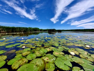 Tisza-tó Napja rendezvénysorozat