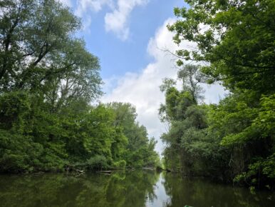 Pünkösdi szezonnyitó kenutúra a Tisza-tavon