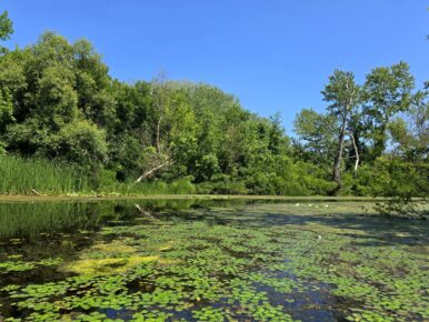 Kajakkal a Tisza-tó bűvöletében