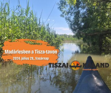 Madárlesen a Tisza-tavon – Tiszafüred